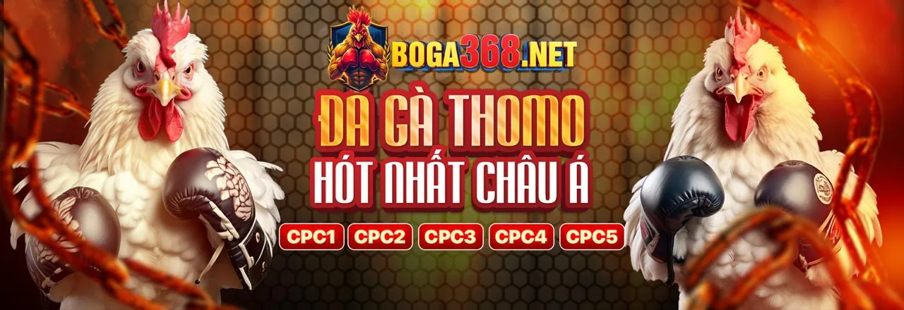 Đá Gà Trực Tuyến Hấp Dẫn tại kufun khuyến mãi